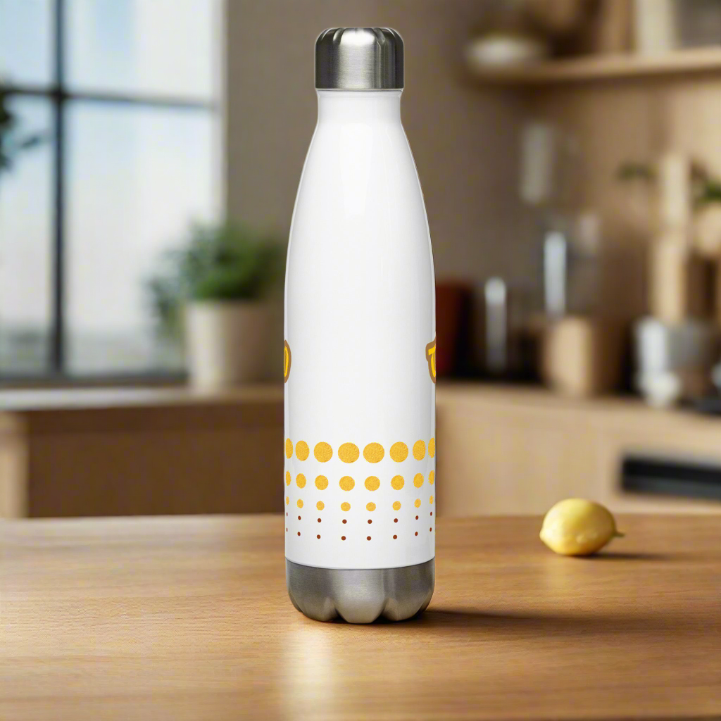 Stainless steel water bottle